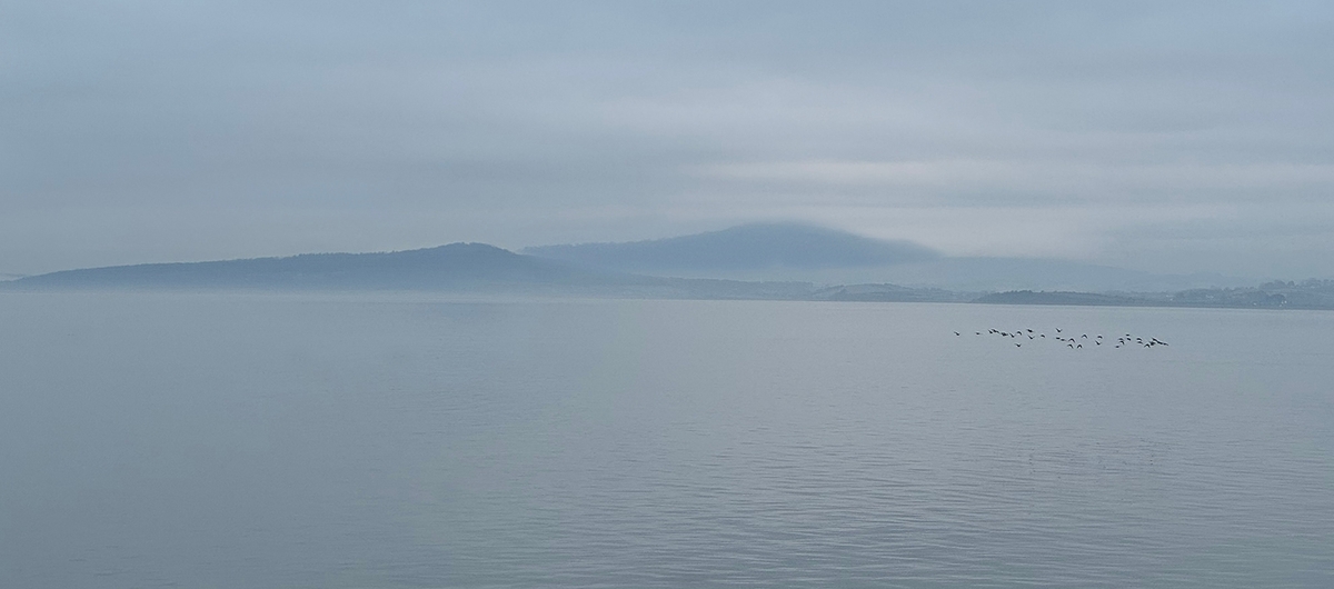 Over the Bay - Ellen Bell - Highly Commended